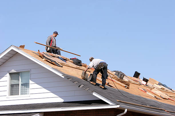 Best Roof Moss and Algae Removal  in Seabrook Island, SC